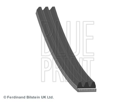 BLUE PRINT Moniurahihna AD03S842